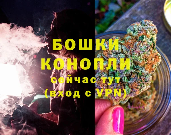 трава Богданович