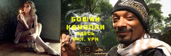 стаф Богородск